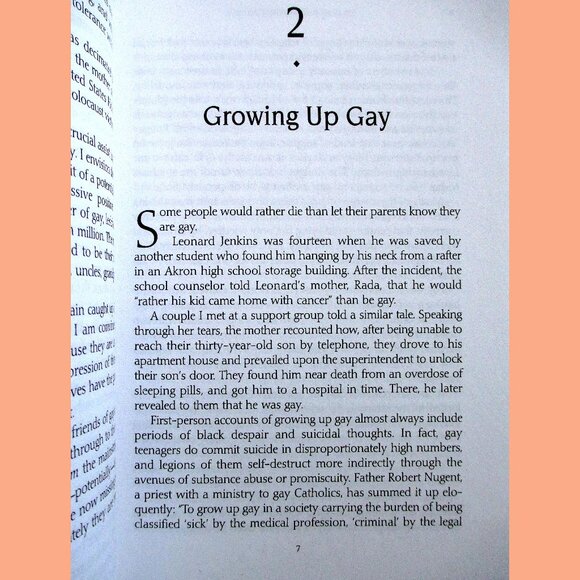 Book - Straight Parents, Gay Children: Inspiring Families to Live Honestly.... - Picture 7 of 14